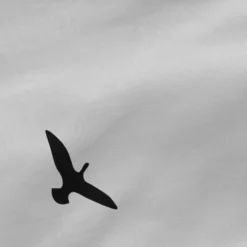 Trip Drap-housse -Promos Sommeil Zen Boutique 2d28479d55ba4501b3bbe83d2a7de881