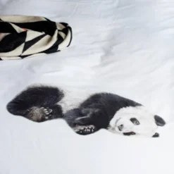 Snurk Parure De Lit Panda- 1 Personne 140x200 -Promos Sommeil Zen Boutique 36a32e26200645aaa014e270daa37668